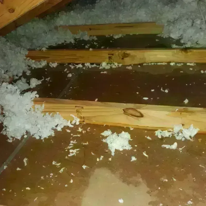 Attic Water Damage in Currituck, NC